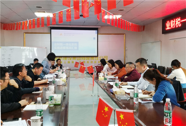 业财税一体化系统实施进展情况汇报.jpg